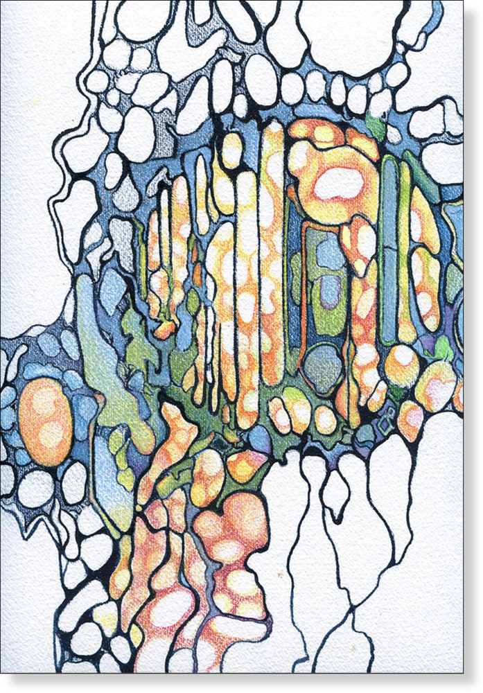 Rebecca Alston Bio Probe 2, 2014-15