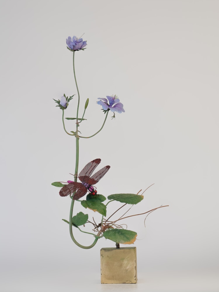 Carmen Almon, Wild Mauve with Russet Percher, 2023