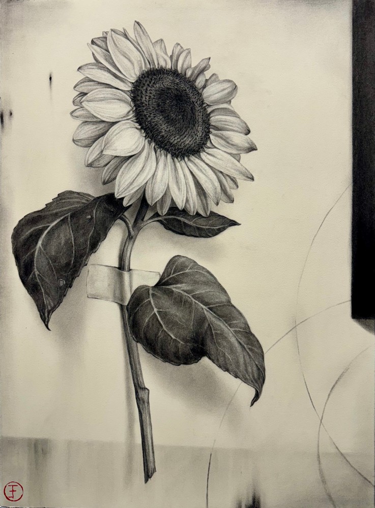 Emily Farish Sunflower No. 63, 2025