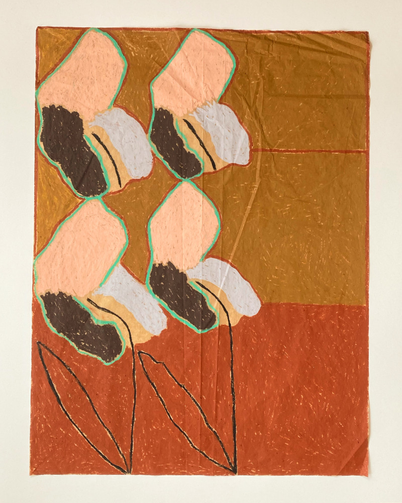 Wayne Pate Iris Bulbs No. 45, 2023