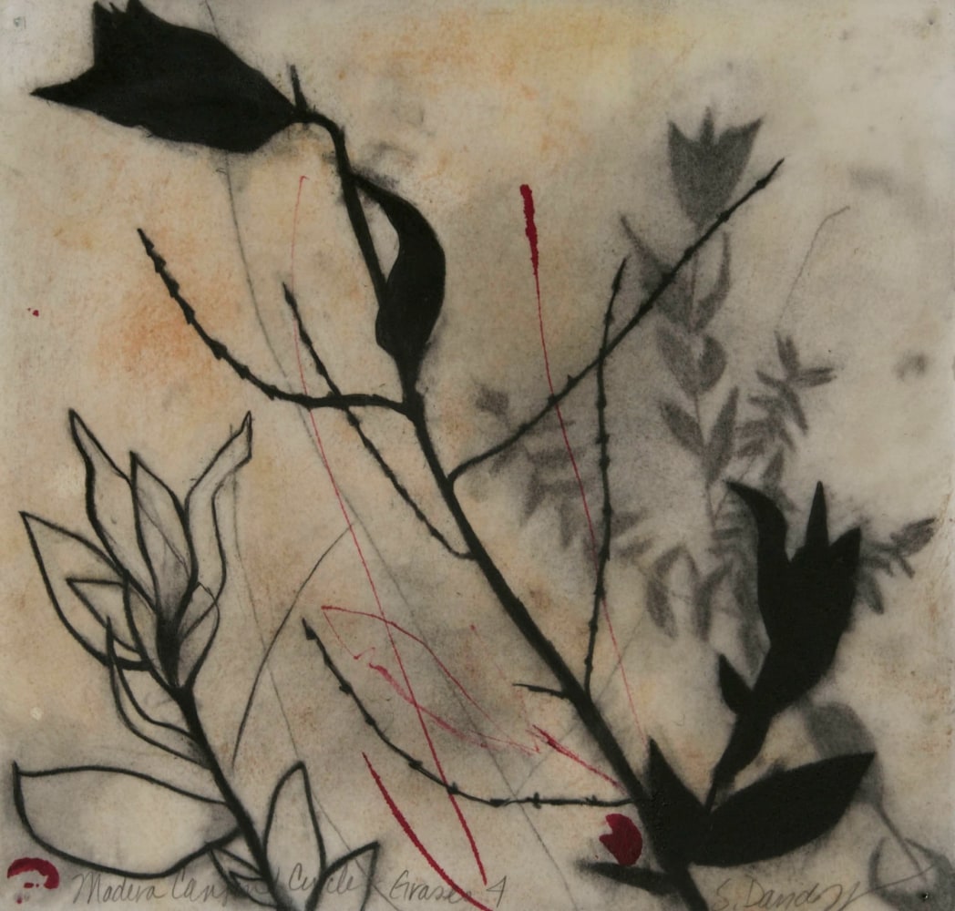 Madera Canyon Cycle - Grasses 4,