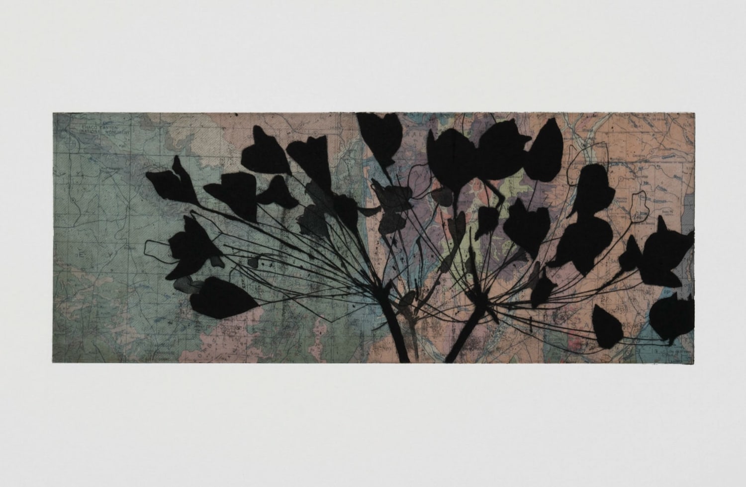 Suzi Davidoff, New Mexico Geology / Allium, 2018