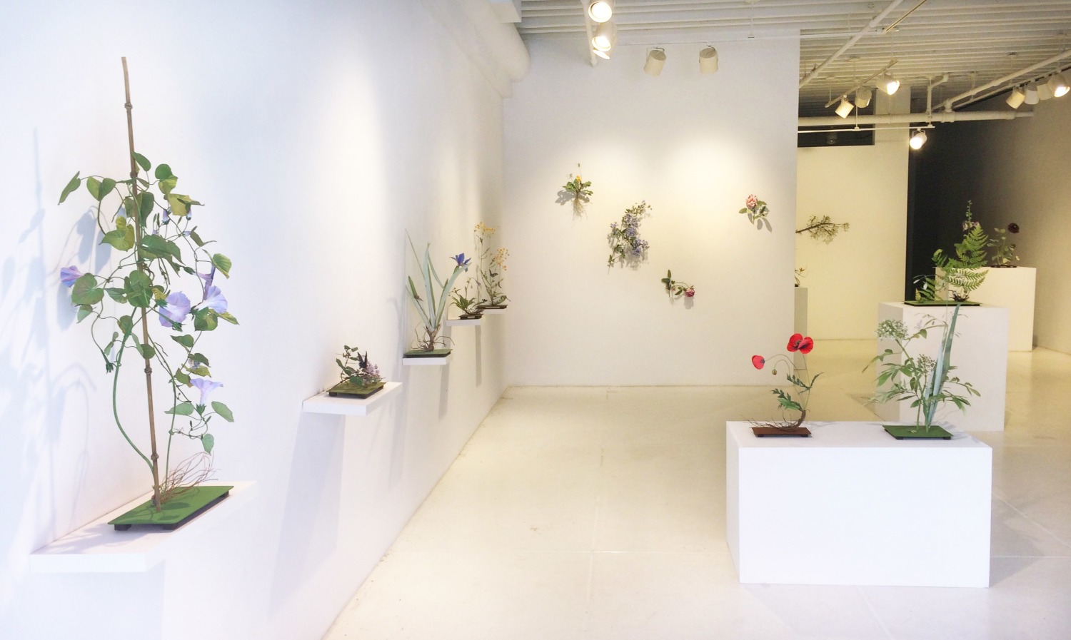 Installation view