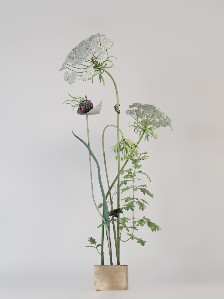 Carmen Almon, Wild Carrot with Cool Hornet Moth, 2023