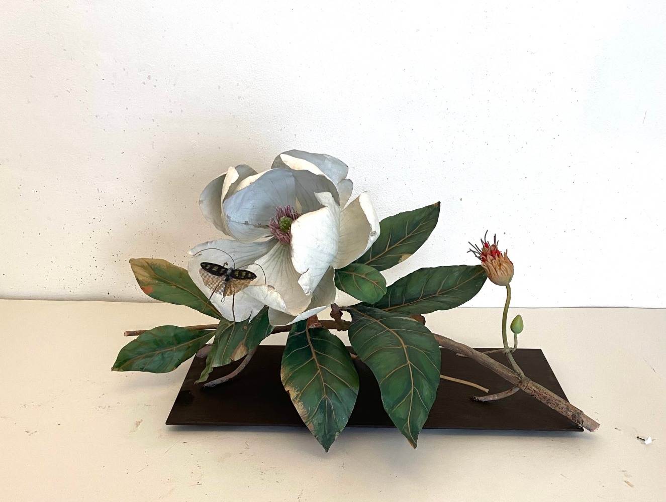 Carmen Almon, Magnolia with Flying Striped Katydid, 2024