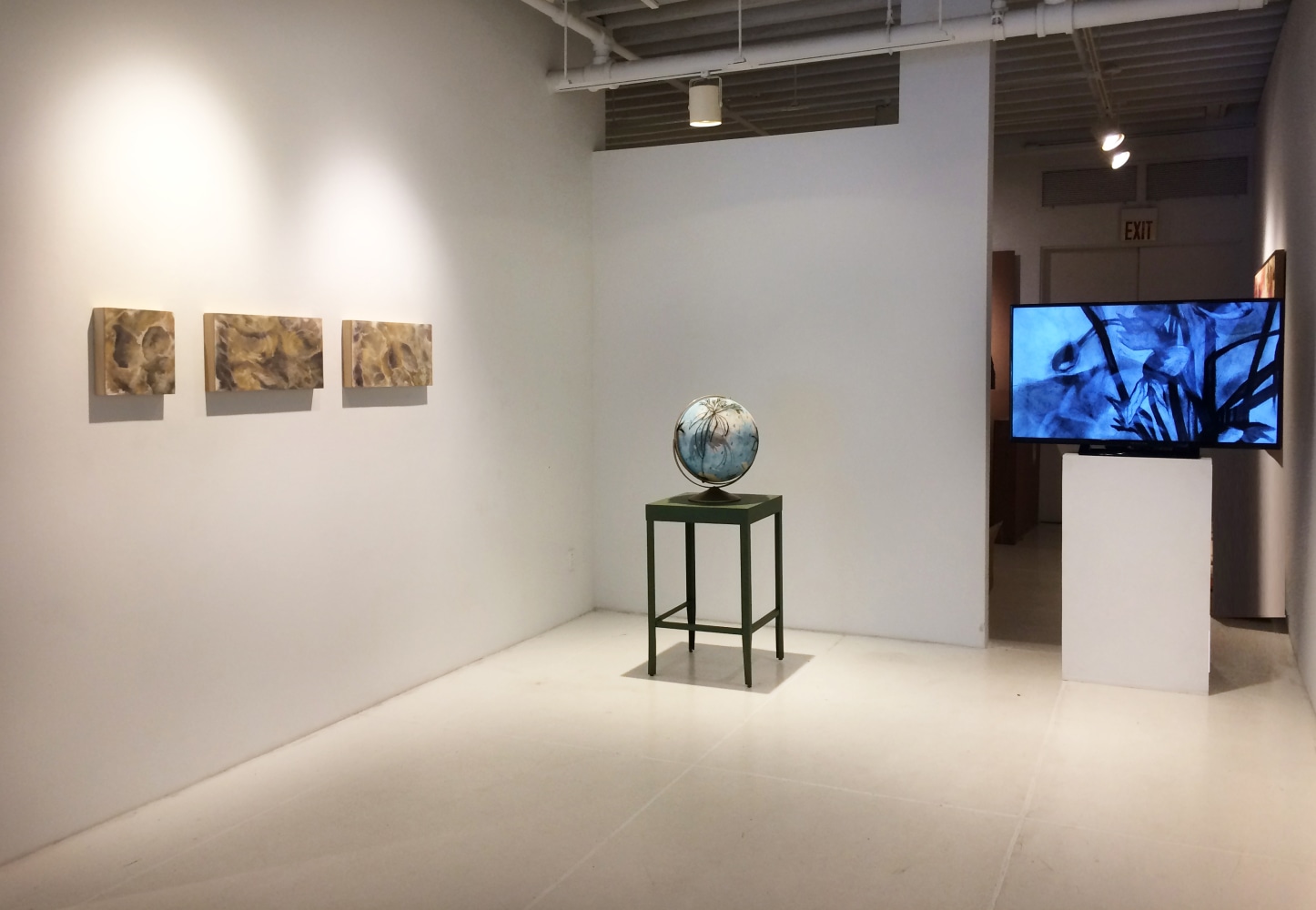 Suzi Davidoff: Field Notes