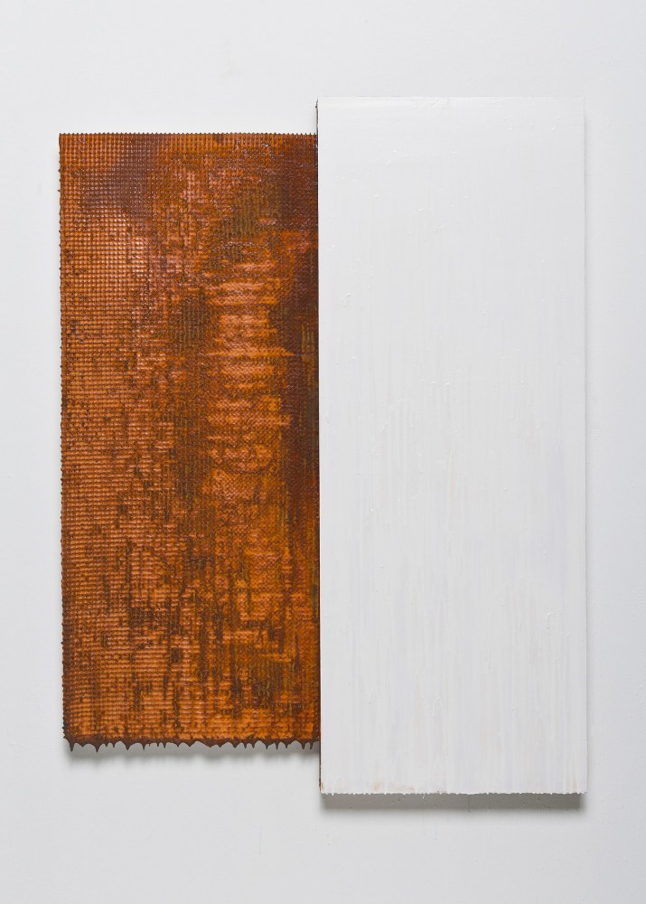 Joseph Cohen Proposition 392, 2013