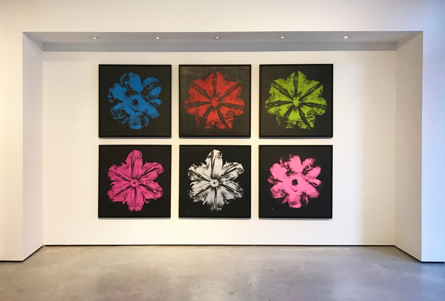 Installation view