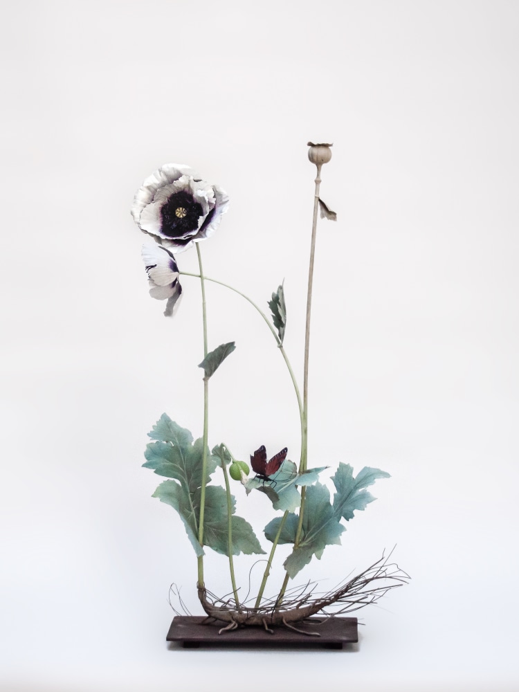 Carmen Almon, Double Opium Poppy with Red Fritillary, 2021