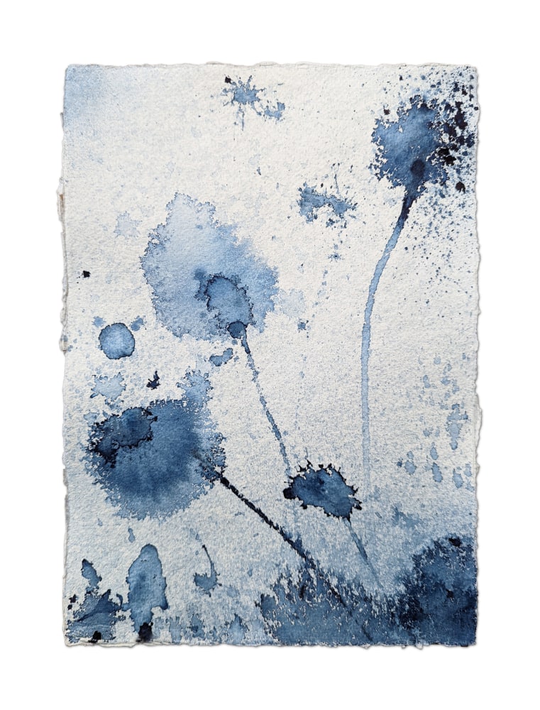 Gustavo Bonevardi, Untitled Botanical, 2022