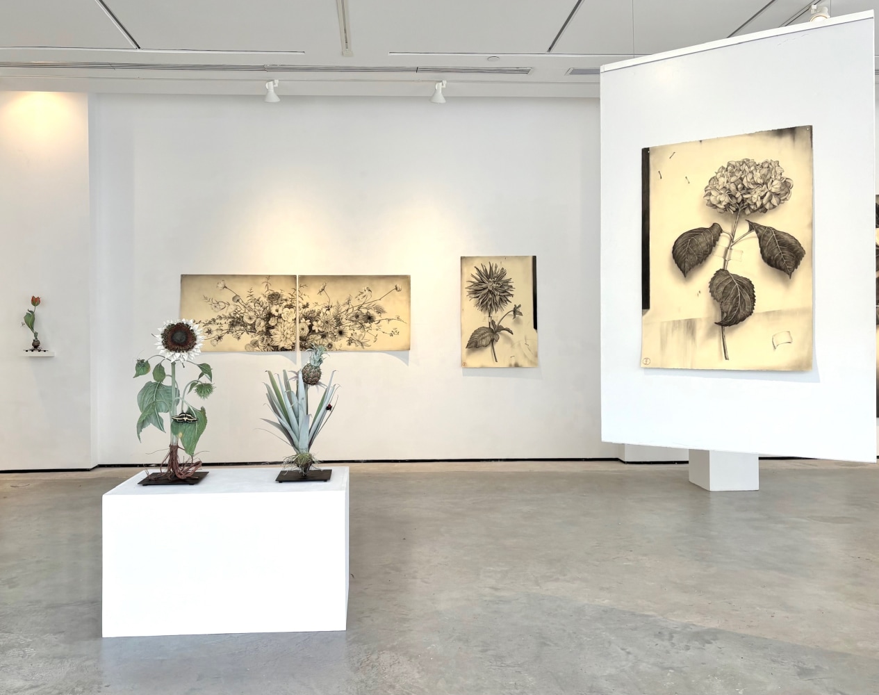 Installation view