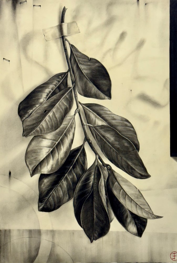 Emily Farish Southern Magnolia Leafy Branch No. 7, 2025