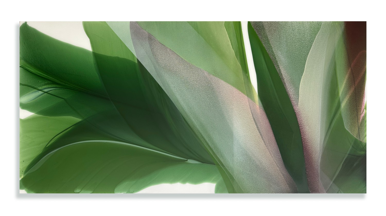 Marina Savashynskaya Dunbar, Cardinal, 2024