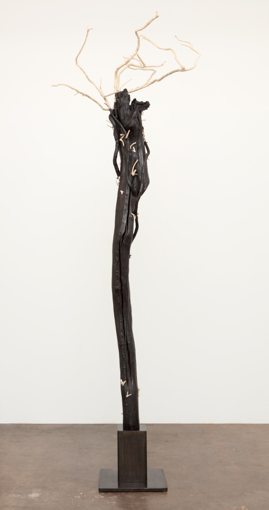 Sherry Owens, Reawakening the Spirit, 2019