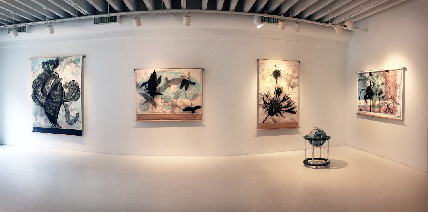 Suzi Davidoff: Field Notes