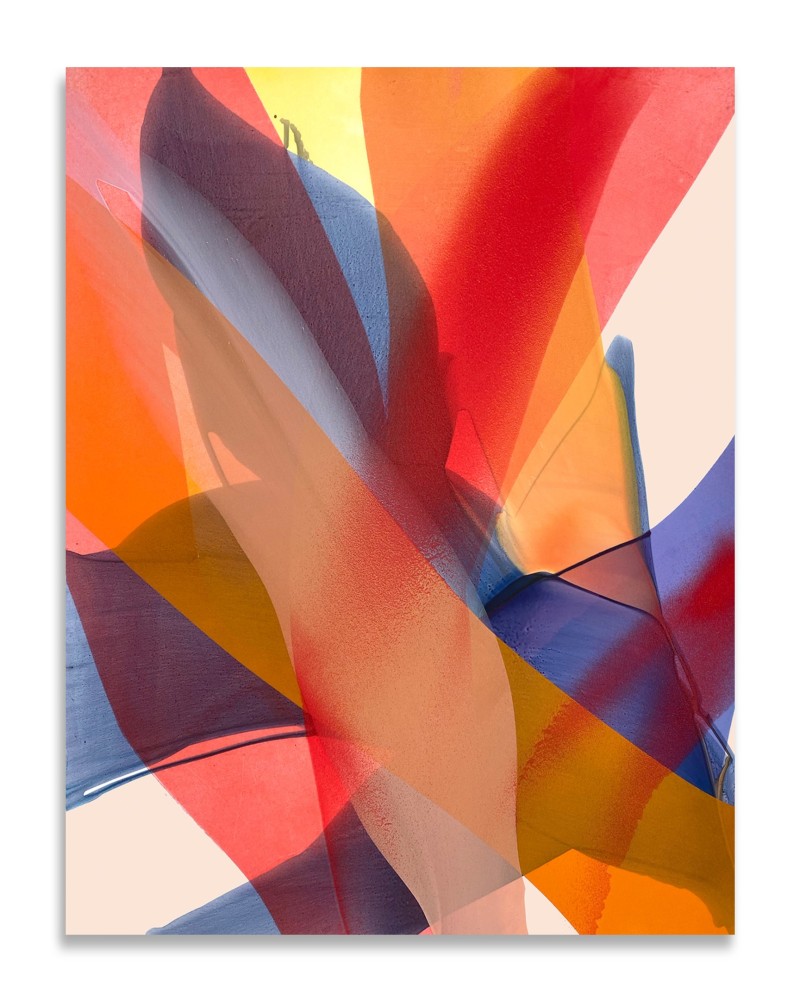 Marina Savashynskaya Dunbar, Scarlet, 2023