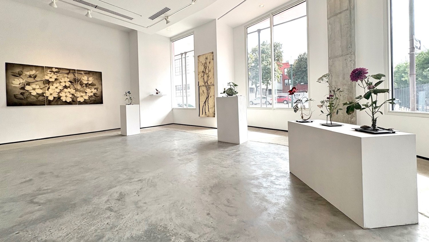 Installation view