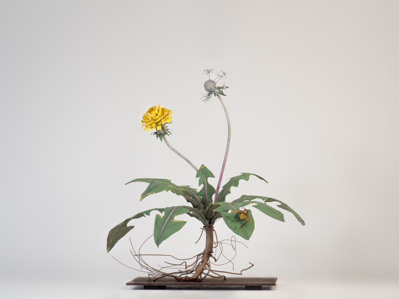Carmen Almon, Dandelion with Honey Bee, 2023
