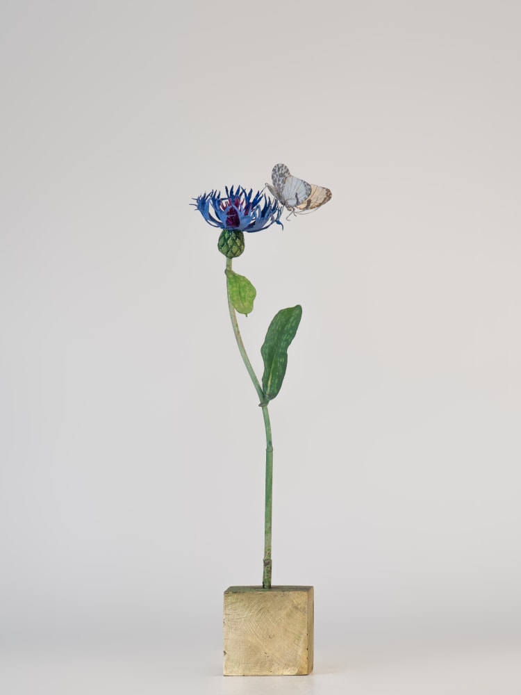 Carmen Almon, Mountain Centaurus with Desert White Butterfly, 2023