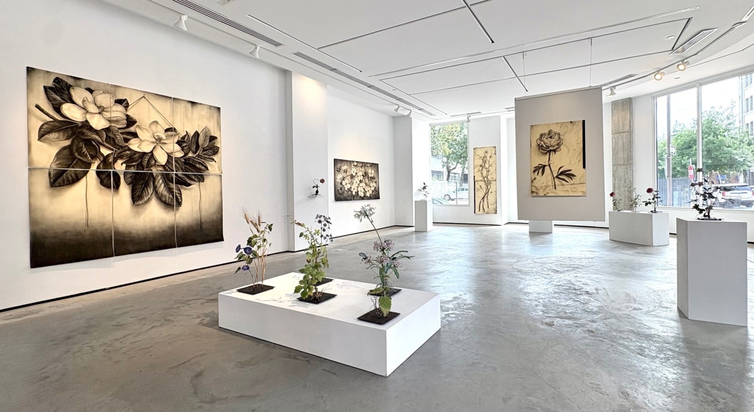 Installation view