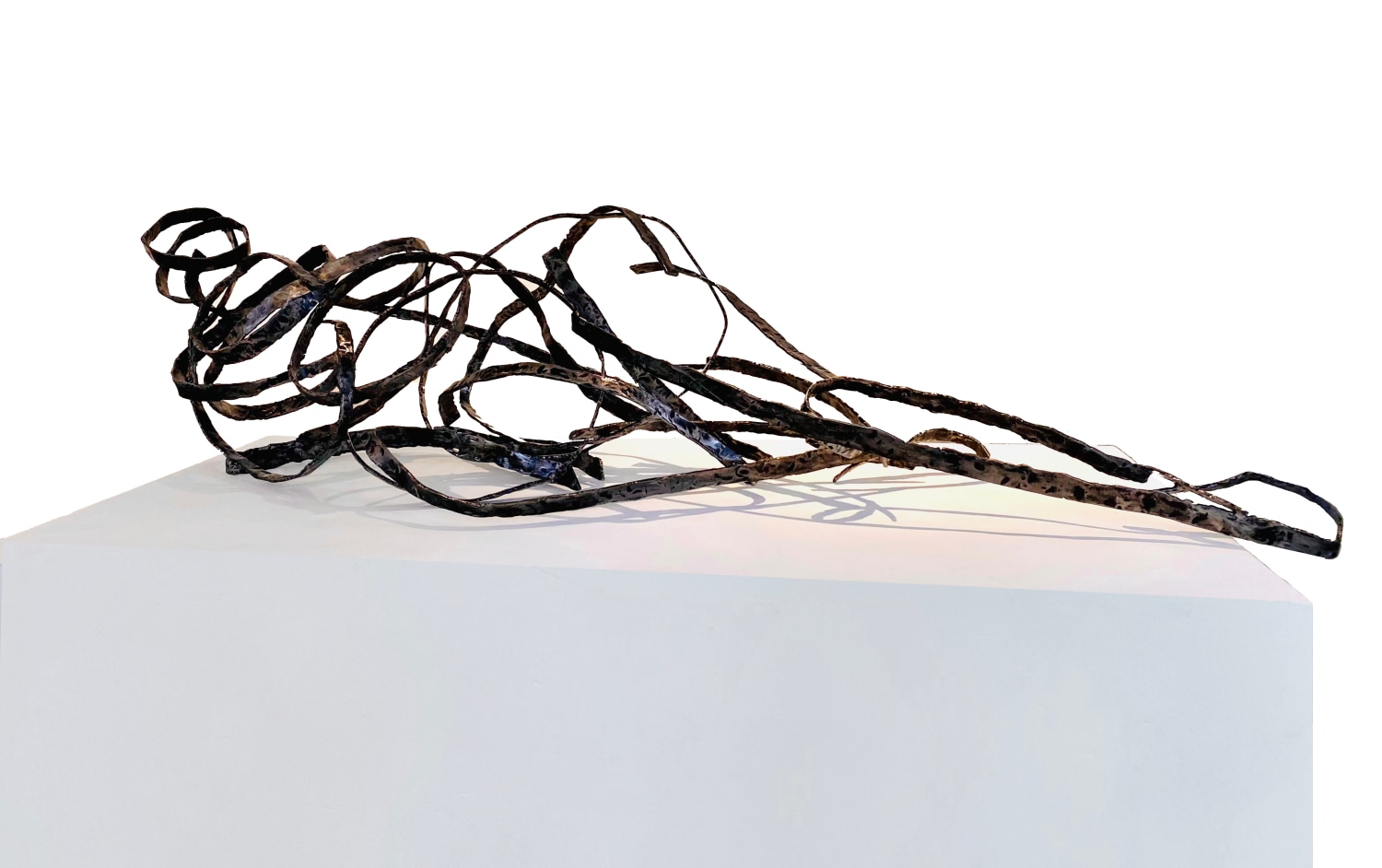 Erica Larkin Gaudet, Raw Lines, 2021