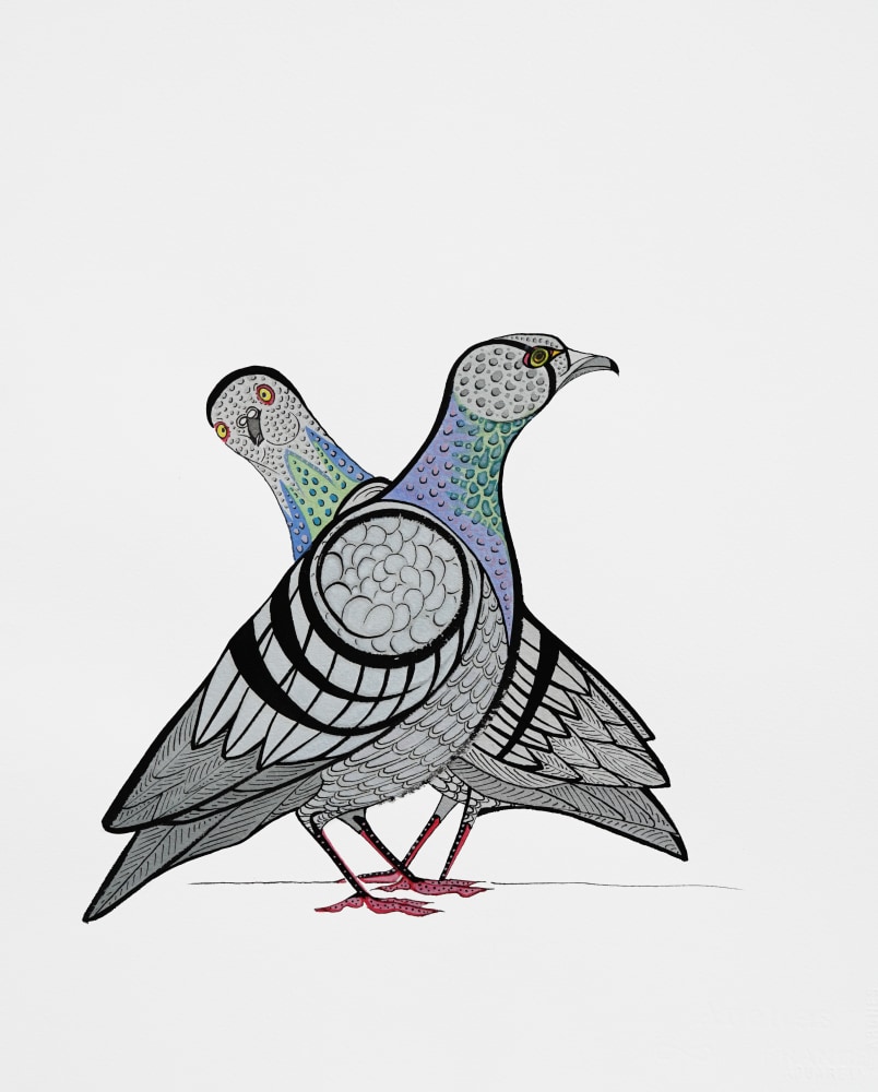 Alex Beard, The Rock Pigeons, 2024