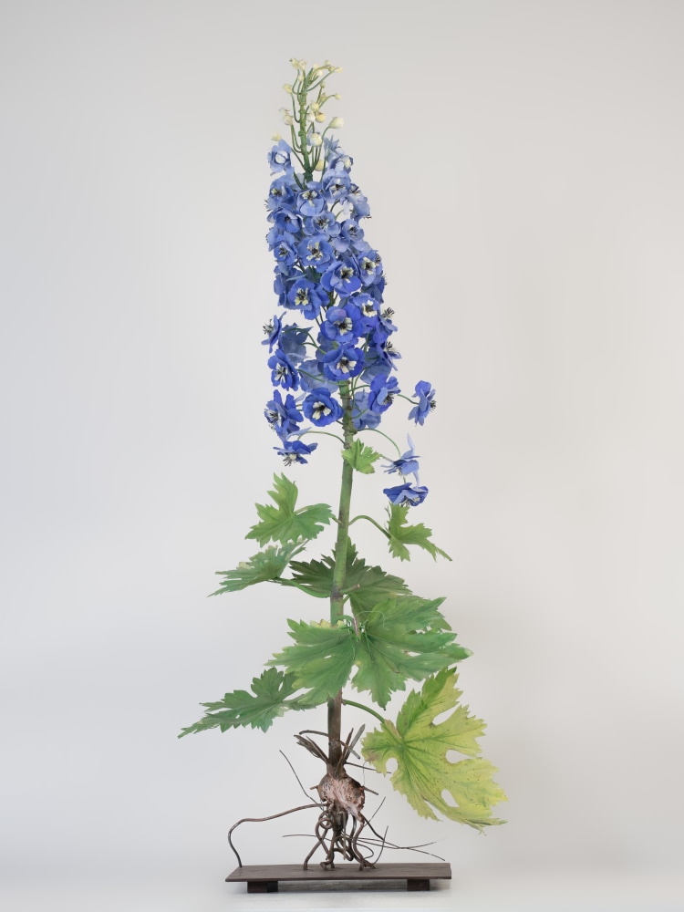 Carmen Almon, Delphinium with Green Grasshopper, 2023