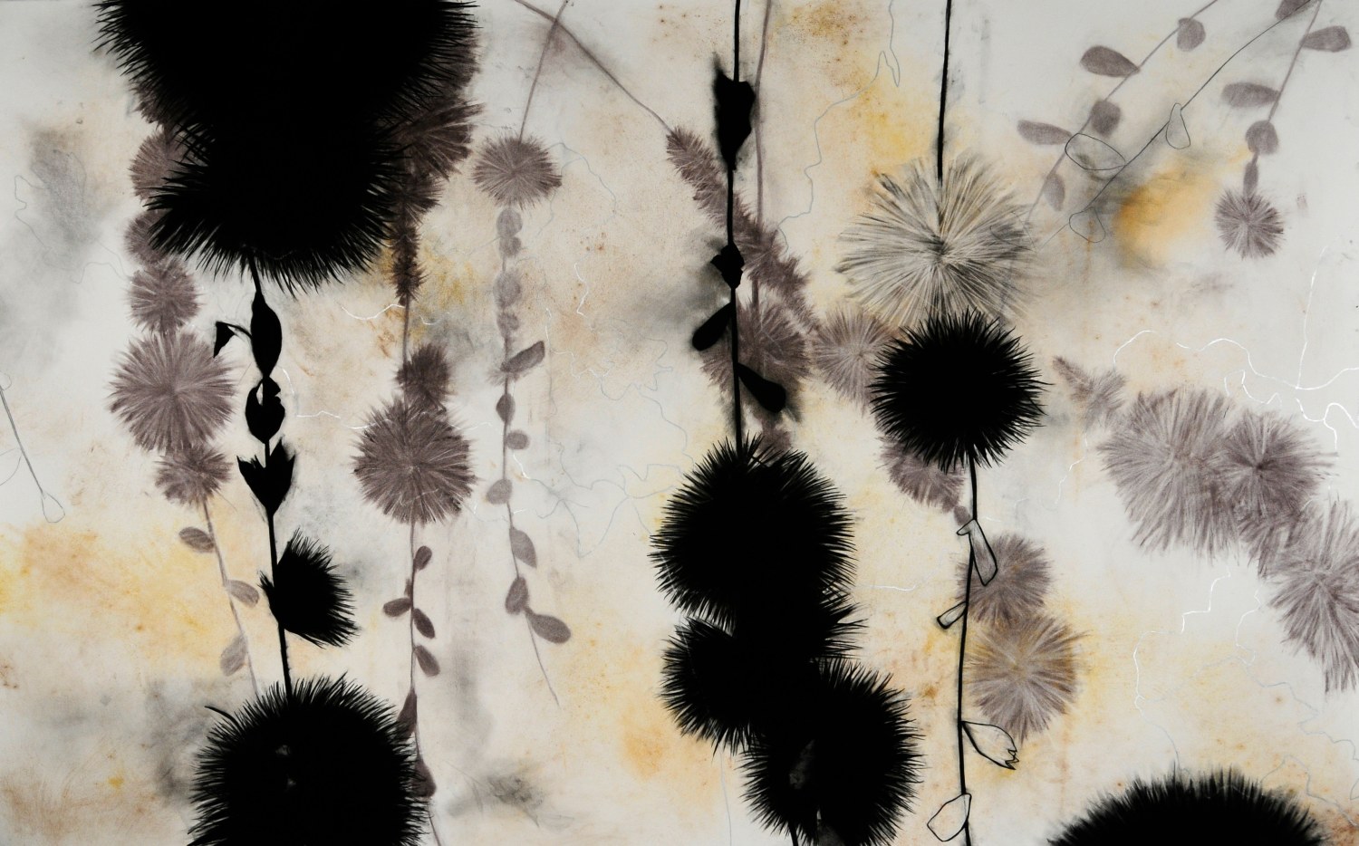 Suzi Davidoff, Sendero, Recuerdo 1, 10/2015 (754), 2015