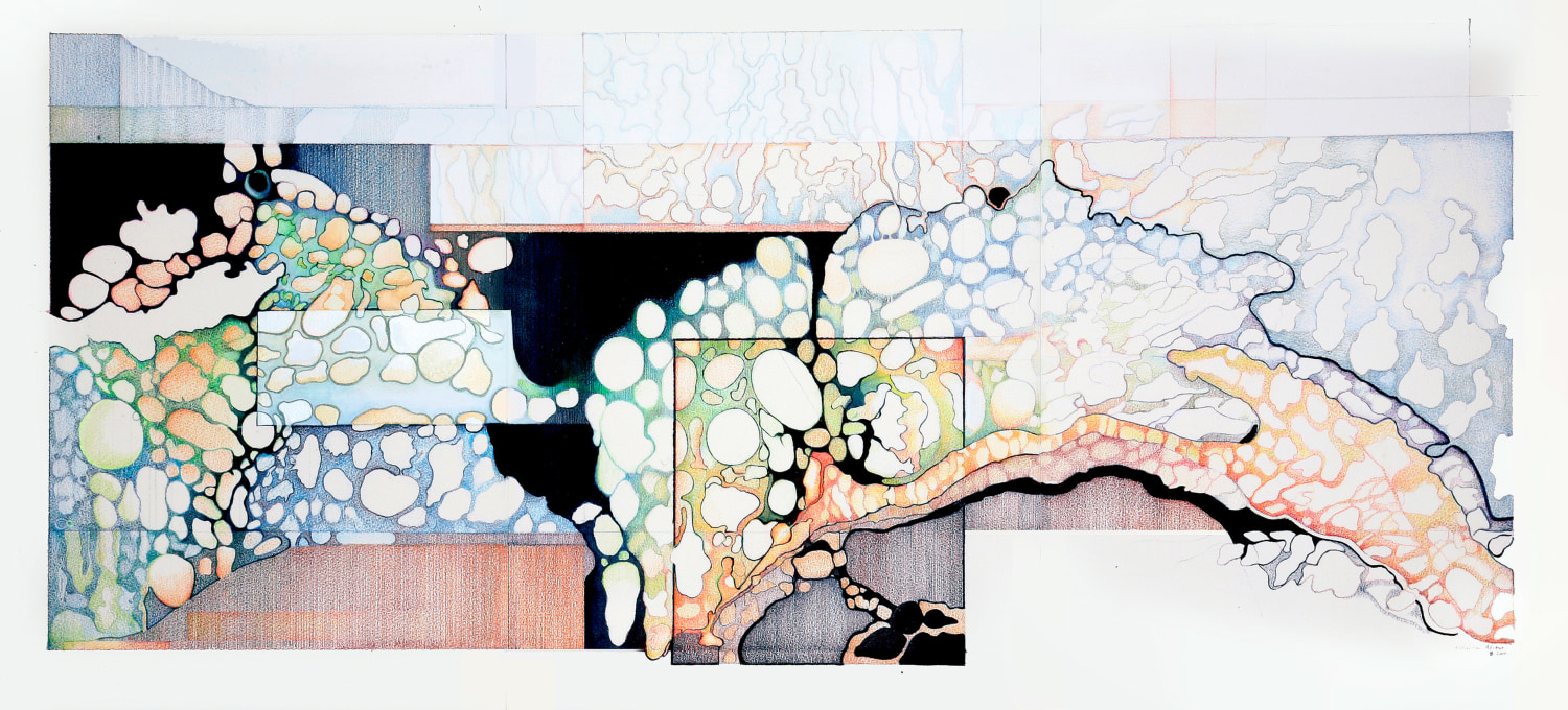 Rebecca Alston It's Time to Have a Dialogue About Our Ecosystems, 2014-15