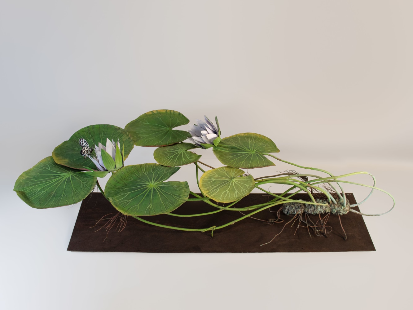 Carmen Almon, Waterlily with Hastata Moth, 2023