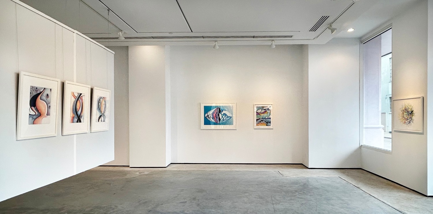 Installation view