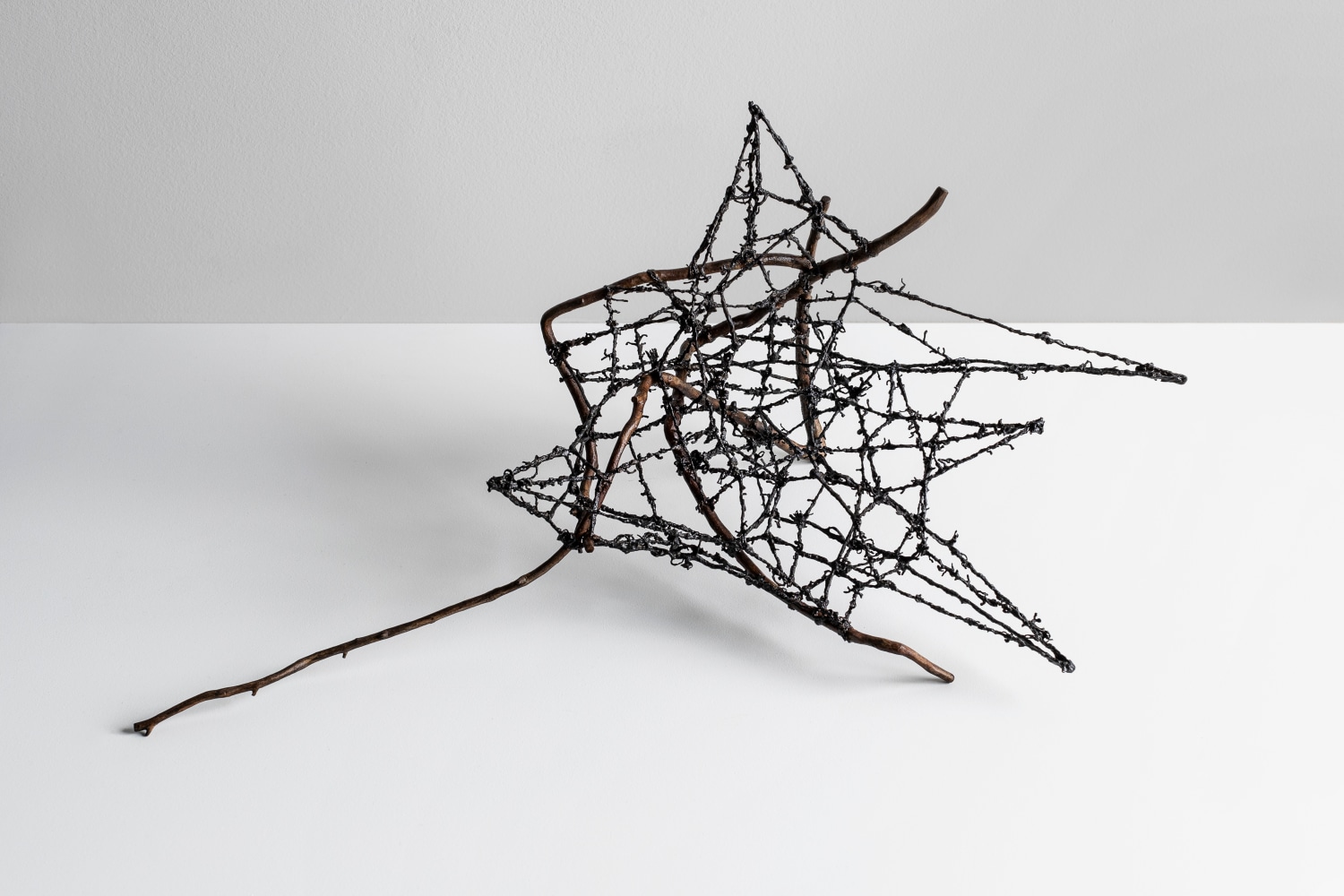 Sherry Owens, Queen of the Night, 2019