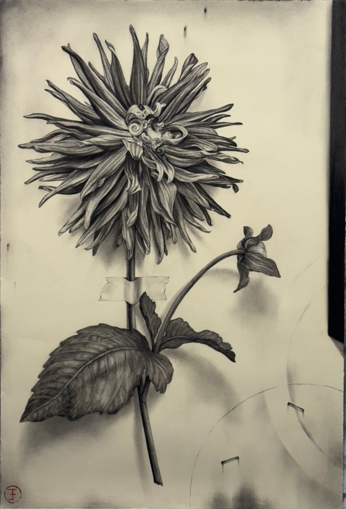 Emily Farish, Dahlia No. 116, 2025