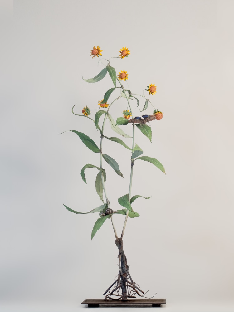 Carmen Almon, Yellow Bur Maigold with Snail and Feigeria Butterfly, 2023
