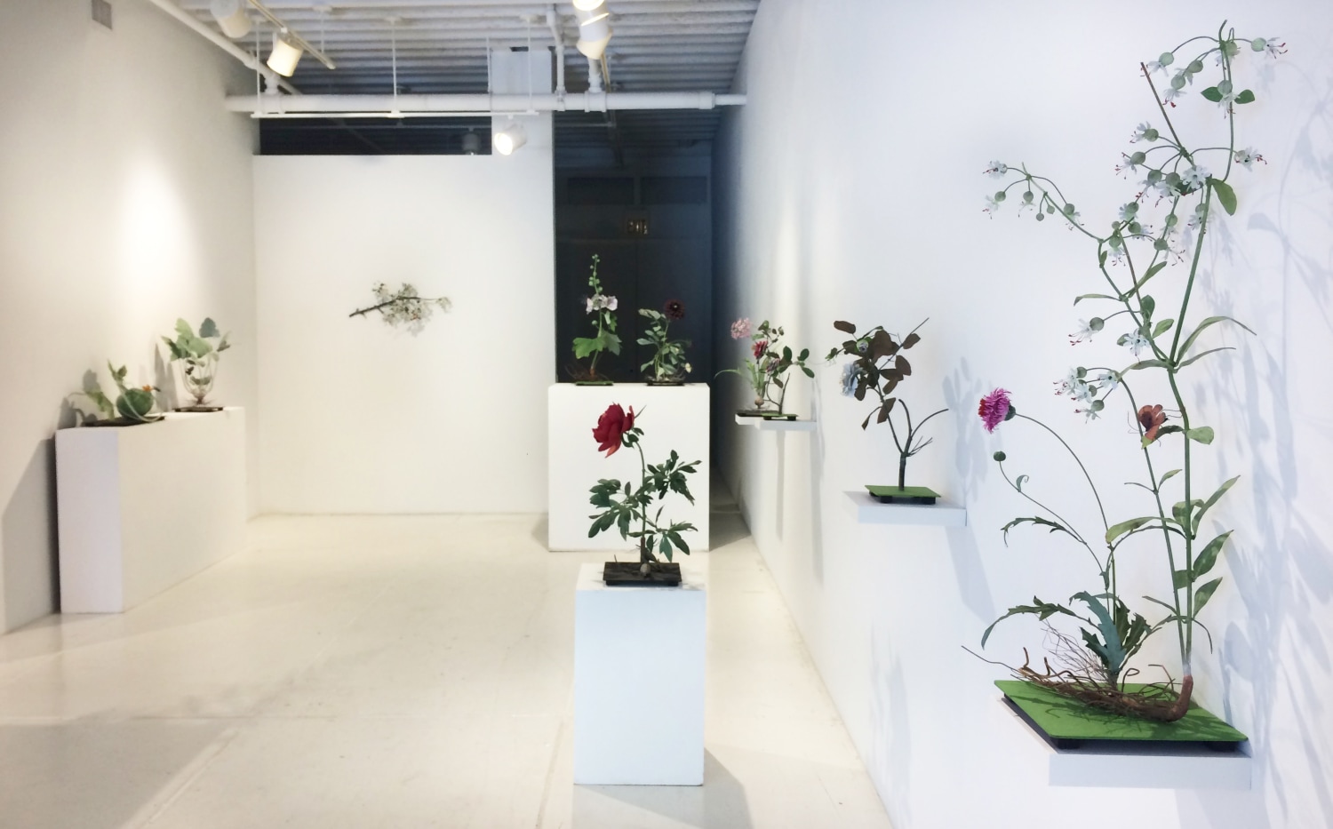 Installation view