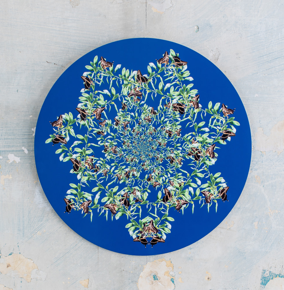 Muffin Bernstein Lucky Star Medallion, 2016