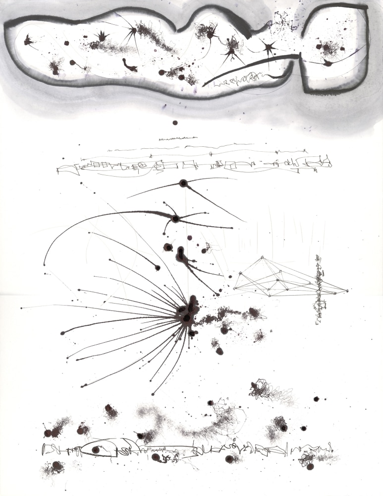 Aaron Bielish&nbsp;, EYEmusic VII Viola, 2018