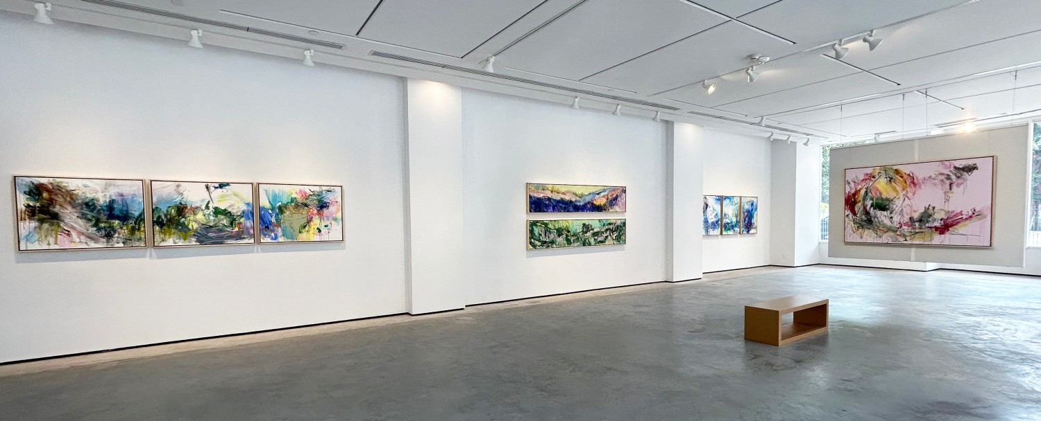 Installation view