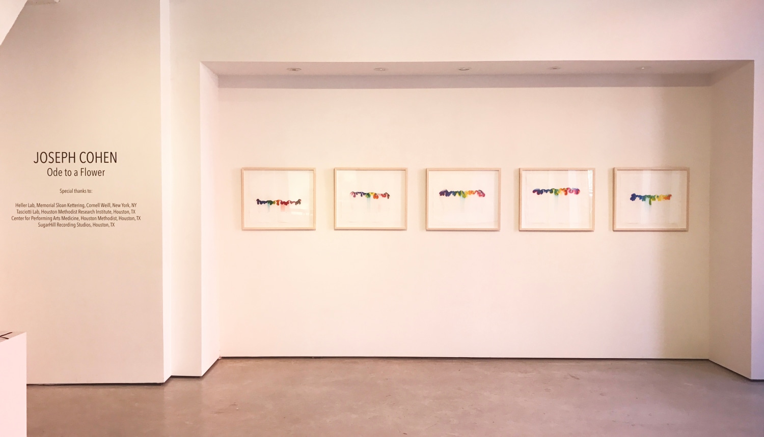 Joseph Cohen - Ode to a Flower