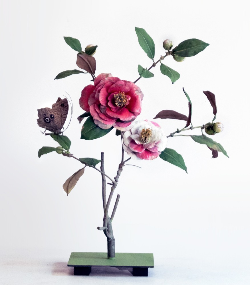 Carmen Almon, Two Tone Camellia with Owl Moth, 2019
