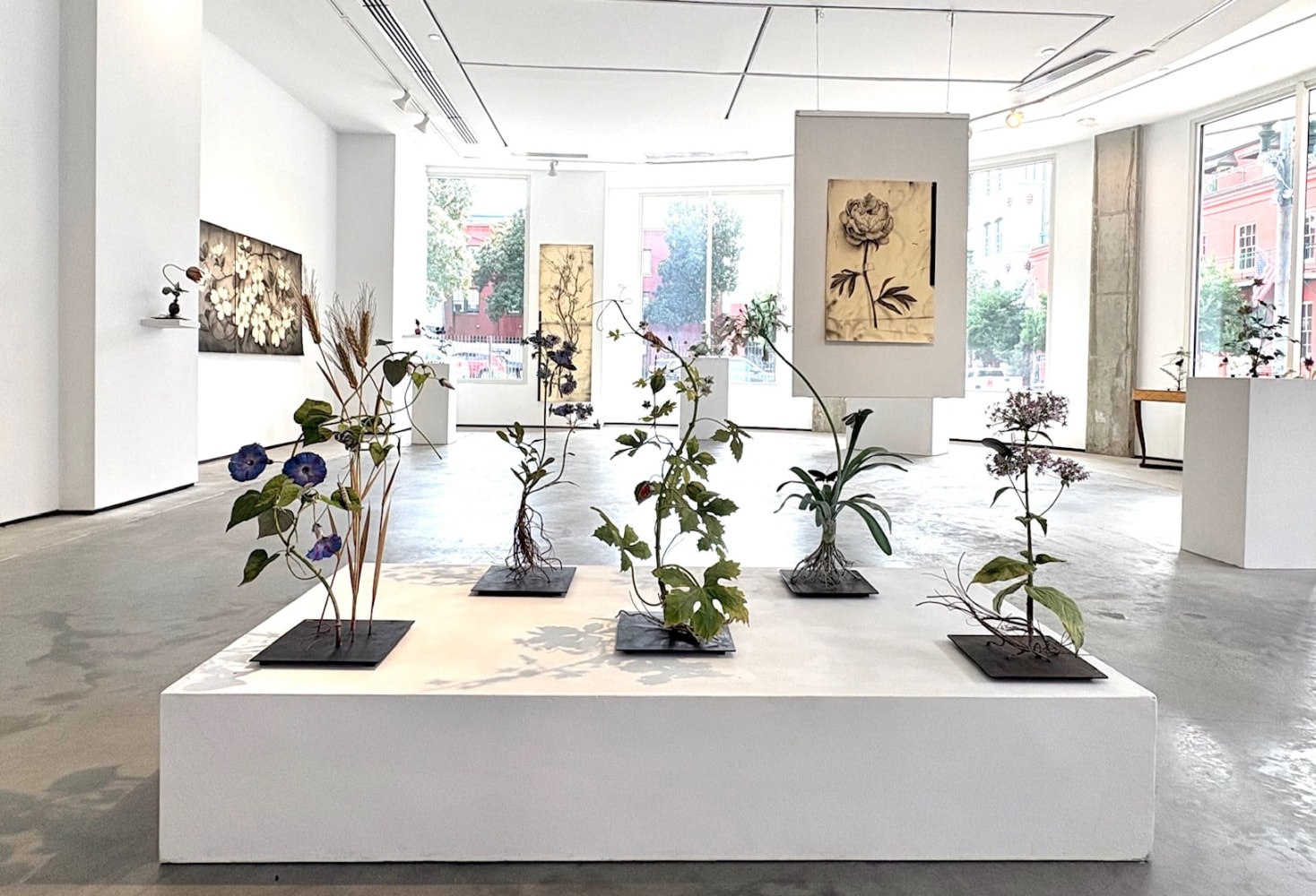 Installation view