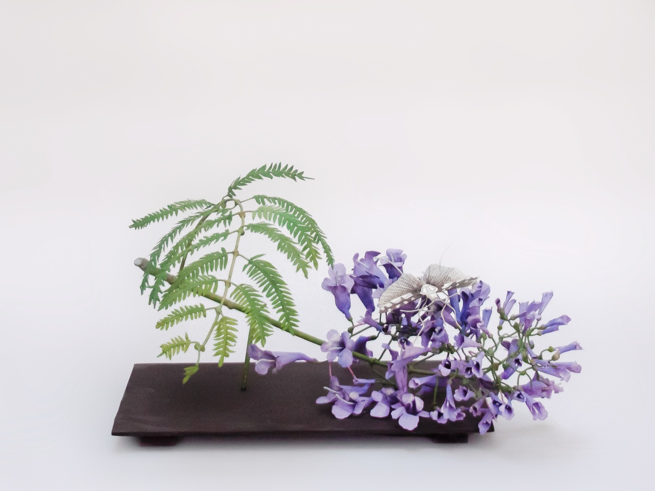 Carmen Almon, Jacaranda with Bush Cricket, 2021