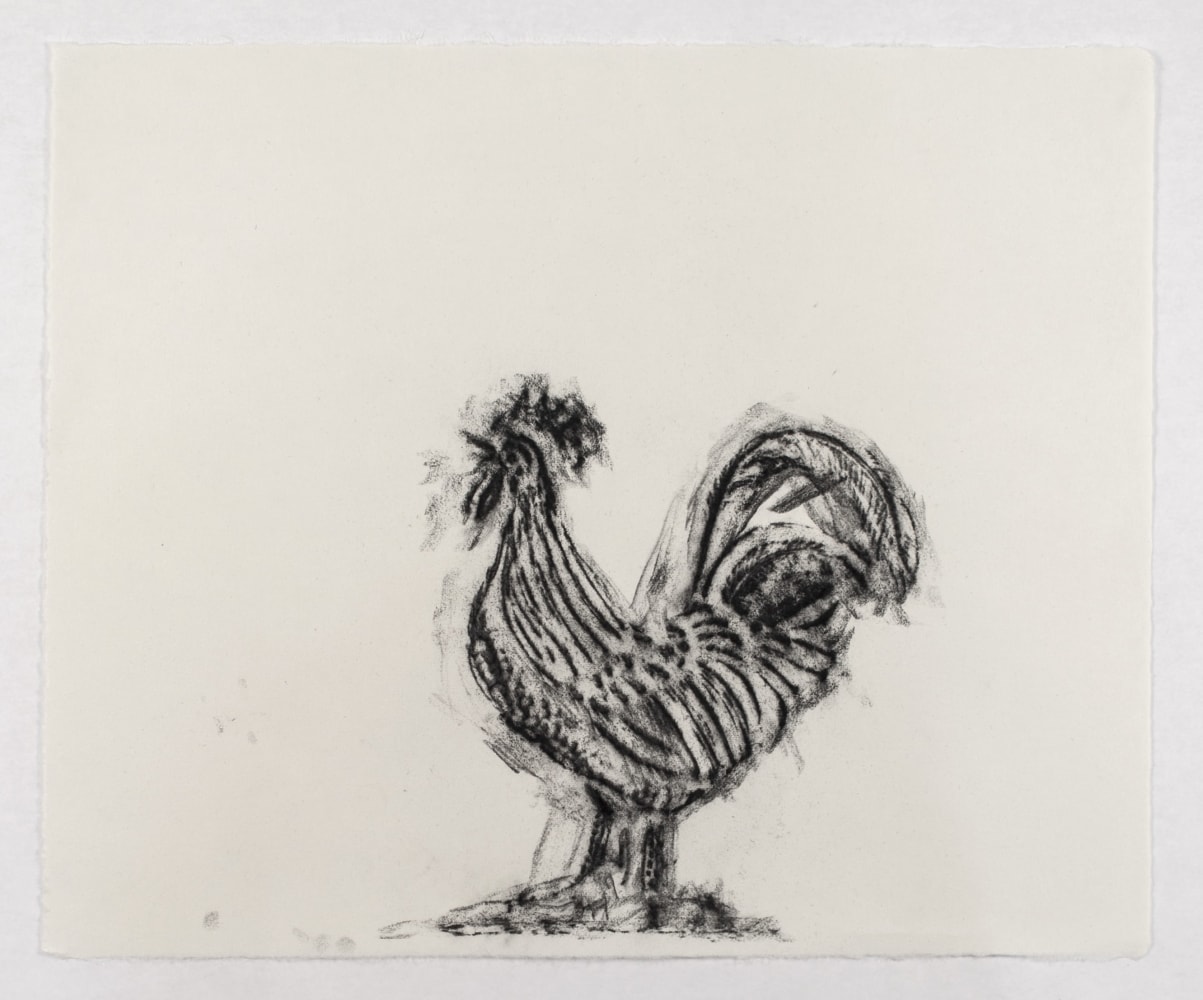 Joe Nanashe, Untitled Rubbing II, 2018, charcoal on paper, 17h x 20w in.