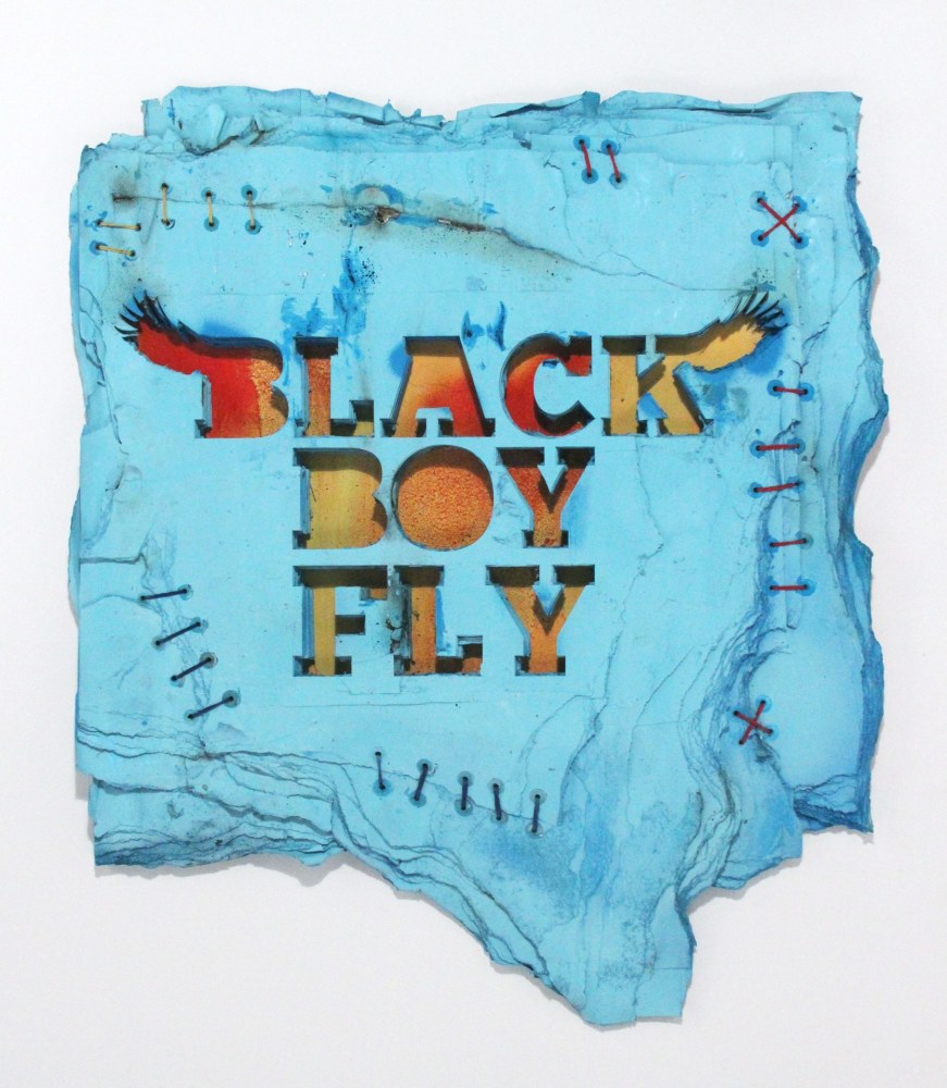 Black Boy Fly, 2016