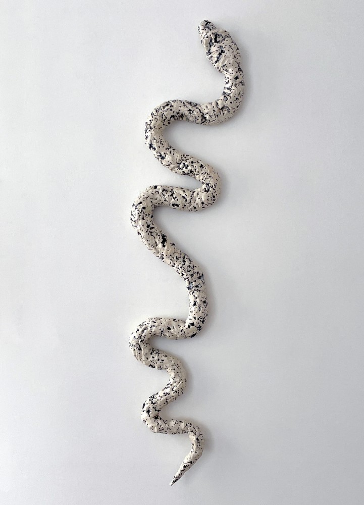 Eve Biddle, Snake
