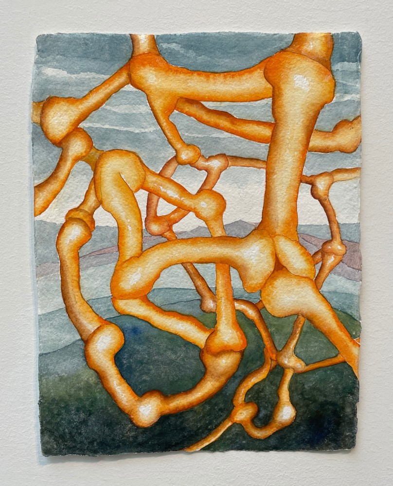 Mary Ann Unger, Maine Landscape