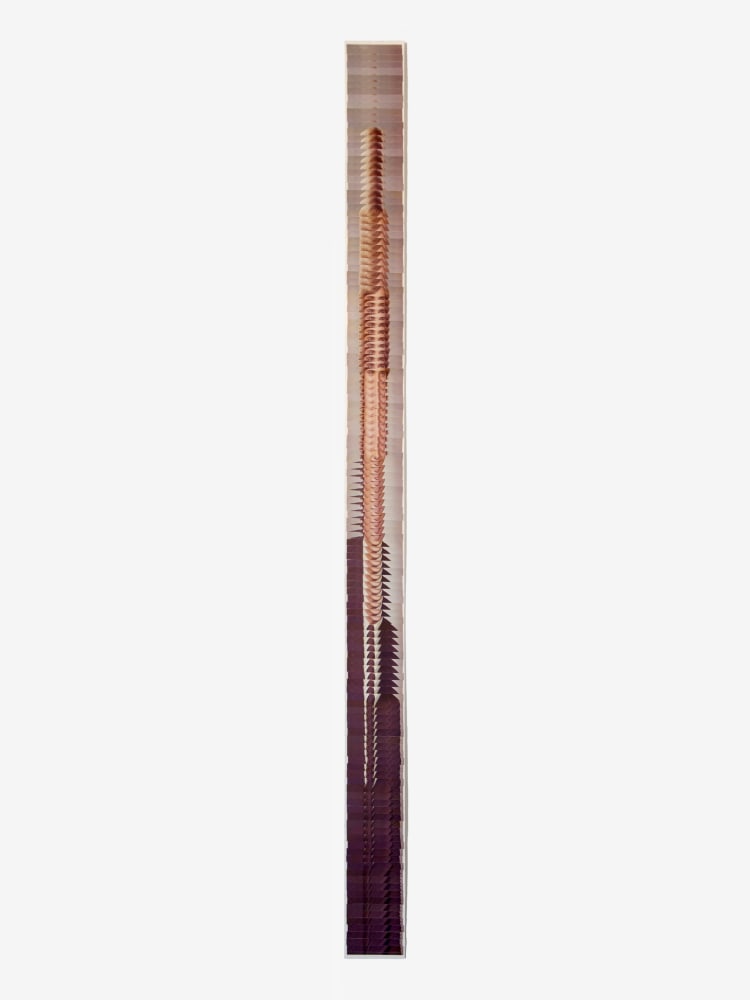 SCROLLING PORTRAIT