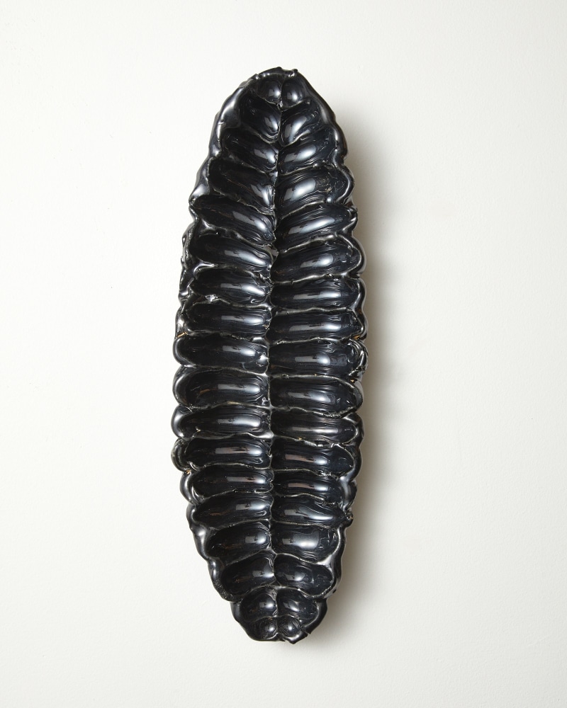 Eve Biddle, New Relics: Trilobite