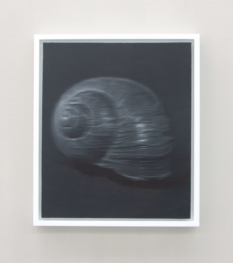 SNAIL