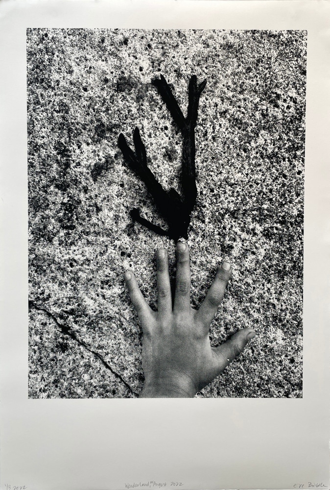 Eve Biddle, Wonderland, ME